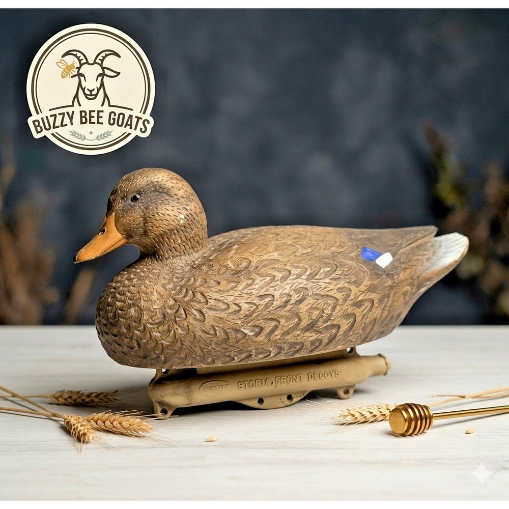 Vintage Flambeau Storm Front Decoy Duck Hunting Collectible Waterfowl